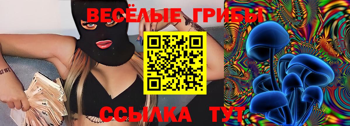 Галлюциногенные грибы Psilocybe Рубцовск